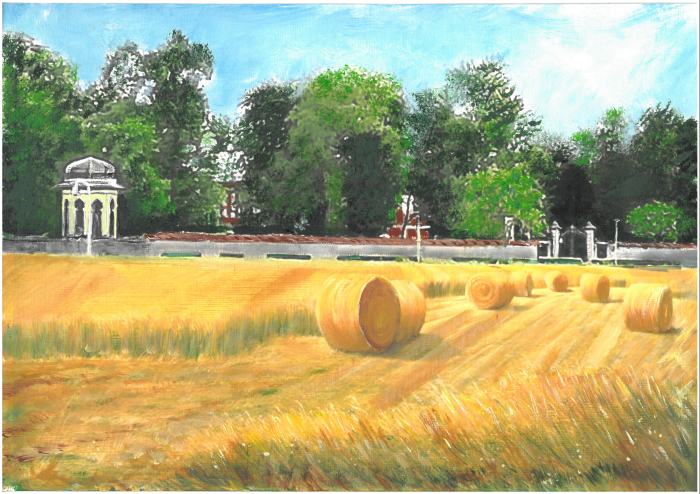 Dell'Acqua- Mietitura