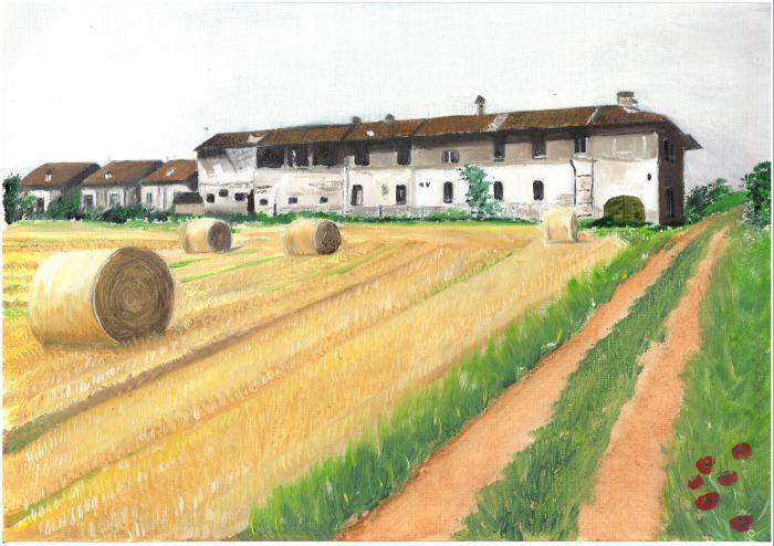 Dell'Acqua- Ricordo mietitura Cascina Morosin